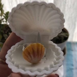 Sunrise shell ring